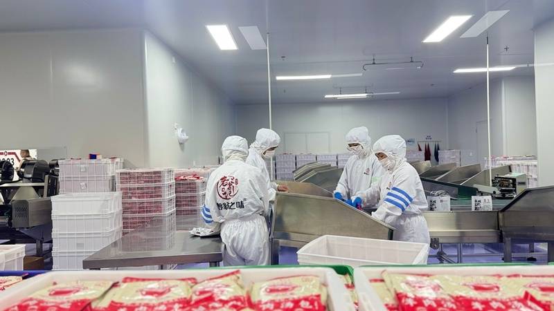 忆“带得走、记得住”瓦力游戏试玩让城市记(图1)